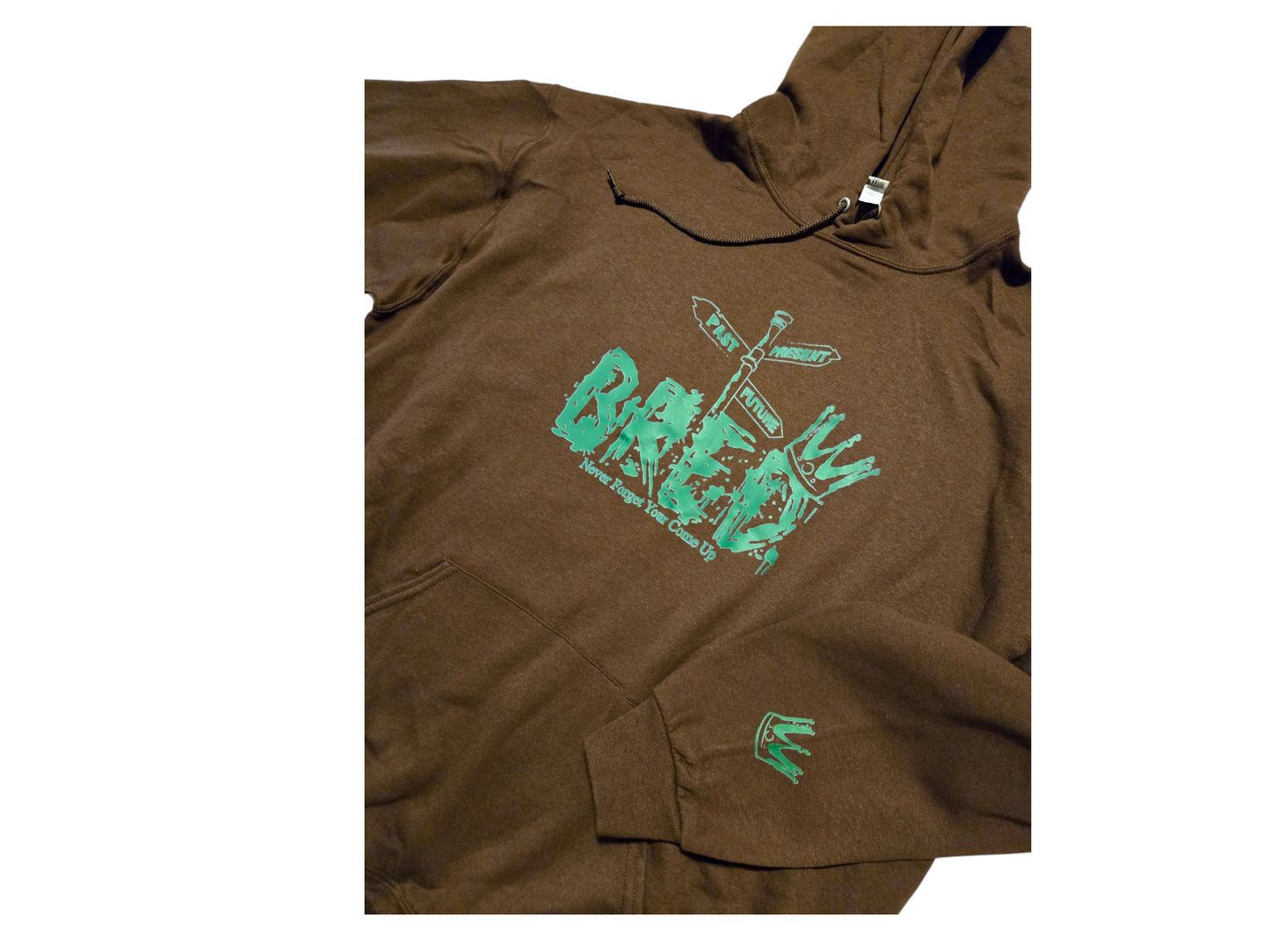 Past Present Future Bred Hoodies