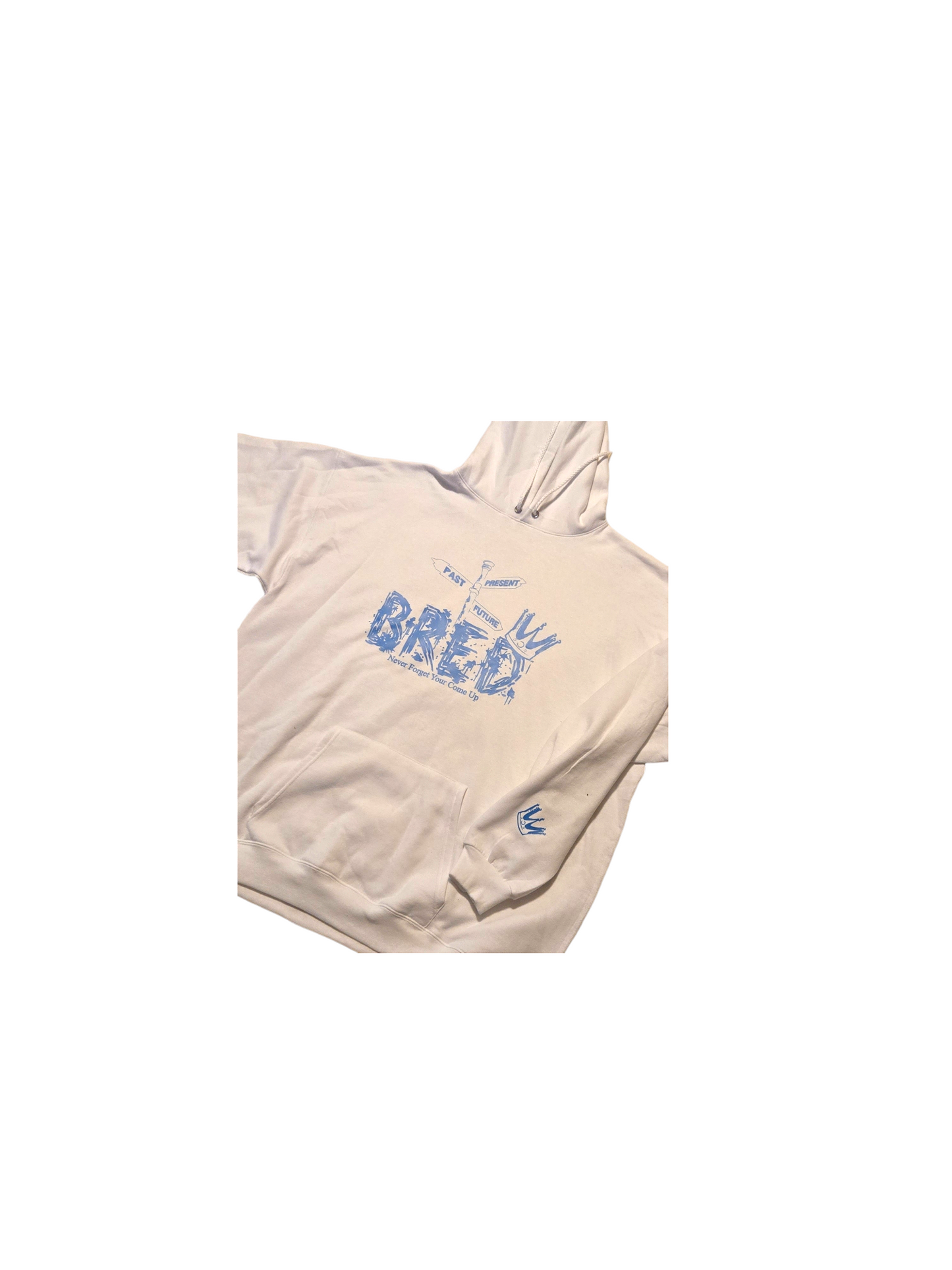 Past Present Future Bred Hoodies