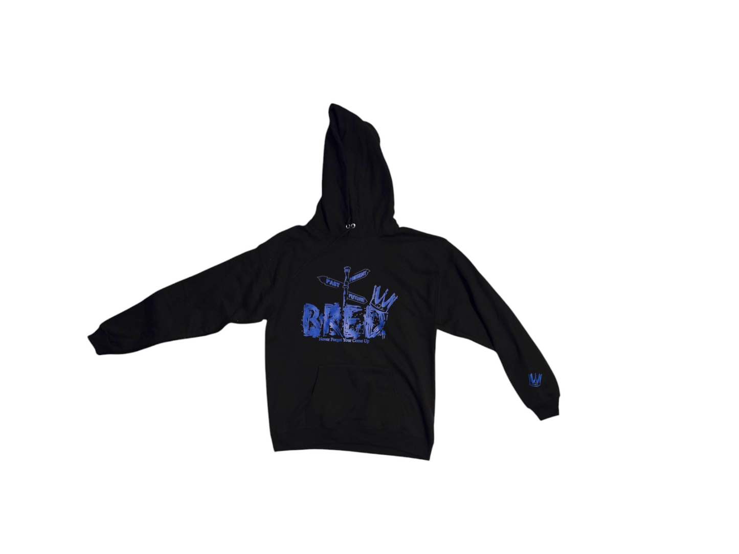 Past Present Future Bred Hoodies