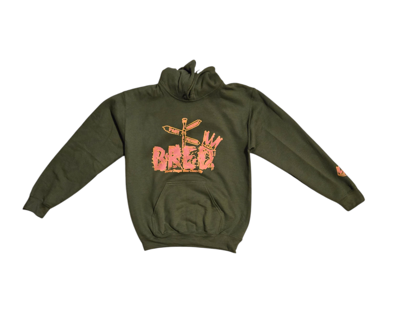 Past Present Future Bred Hoodies