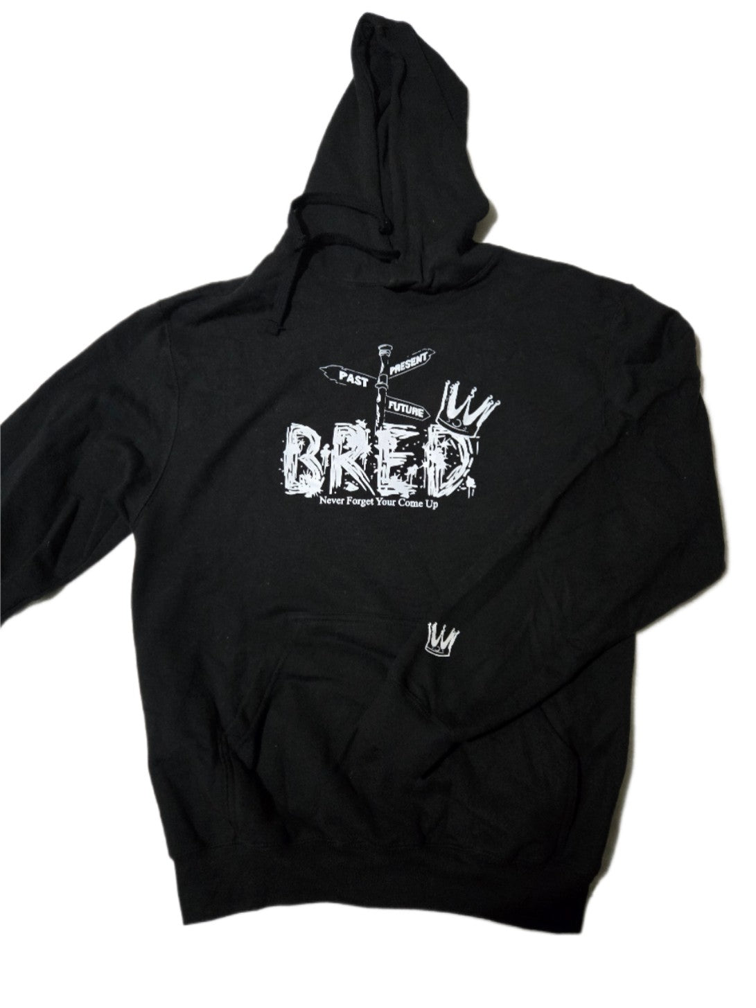 Past Present Future Bred Hoodies