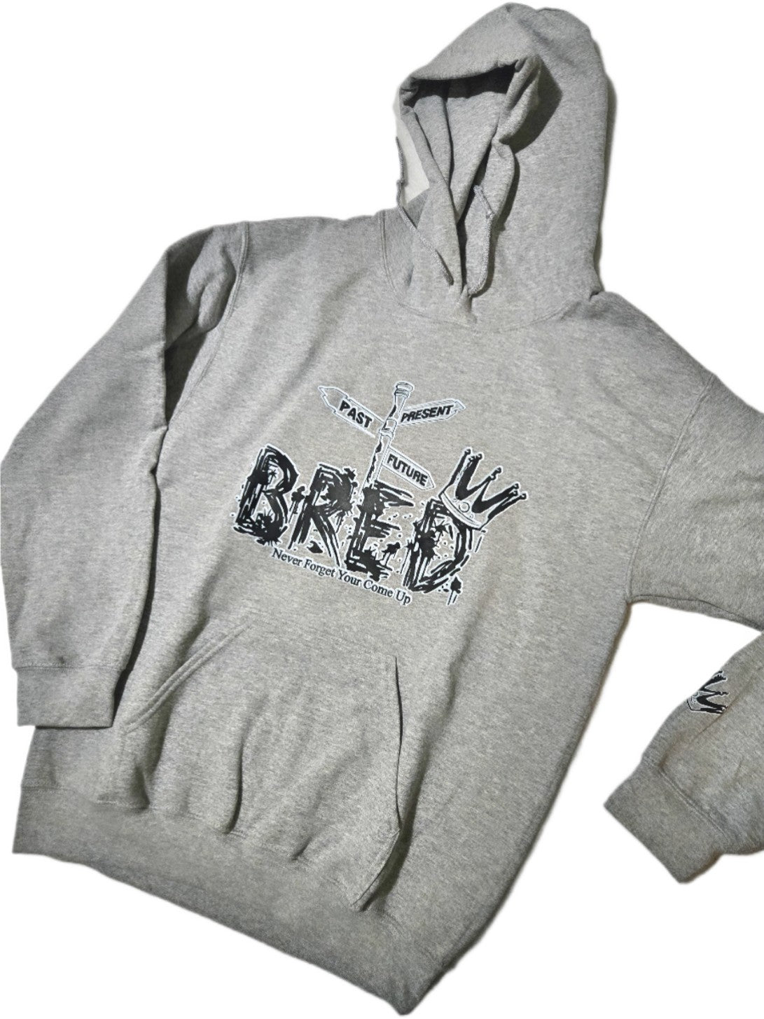 Past Present Future Bred Hoodies