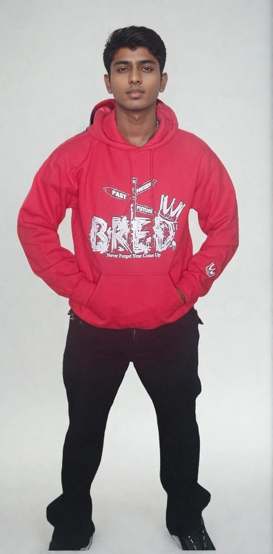 Past Present Future Bred Hoodies